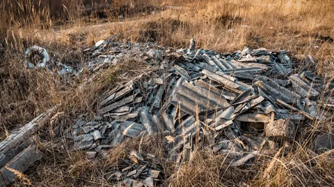 Asbestos Collection and Disposal