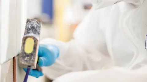 Asbestos Survey